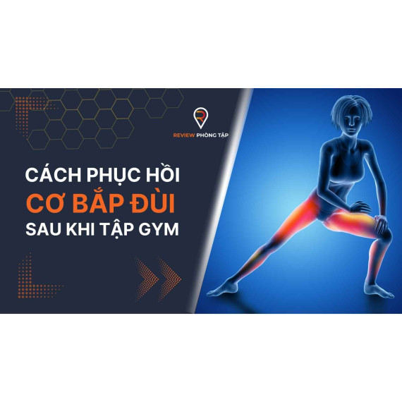 Cách Phục Hồi Cơ Bắp Đùi Sau Khi Tập Gym